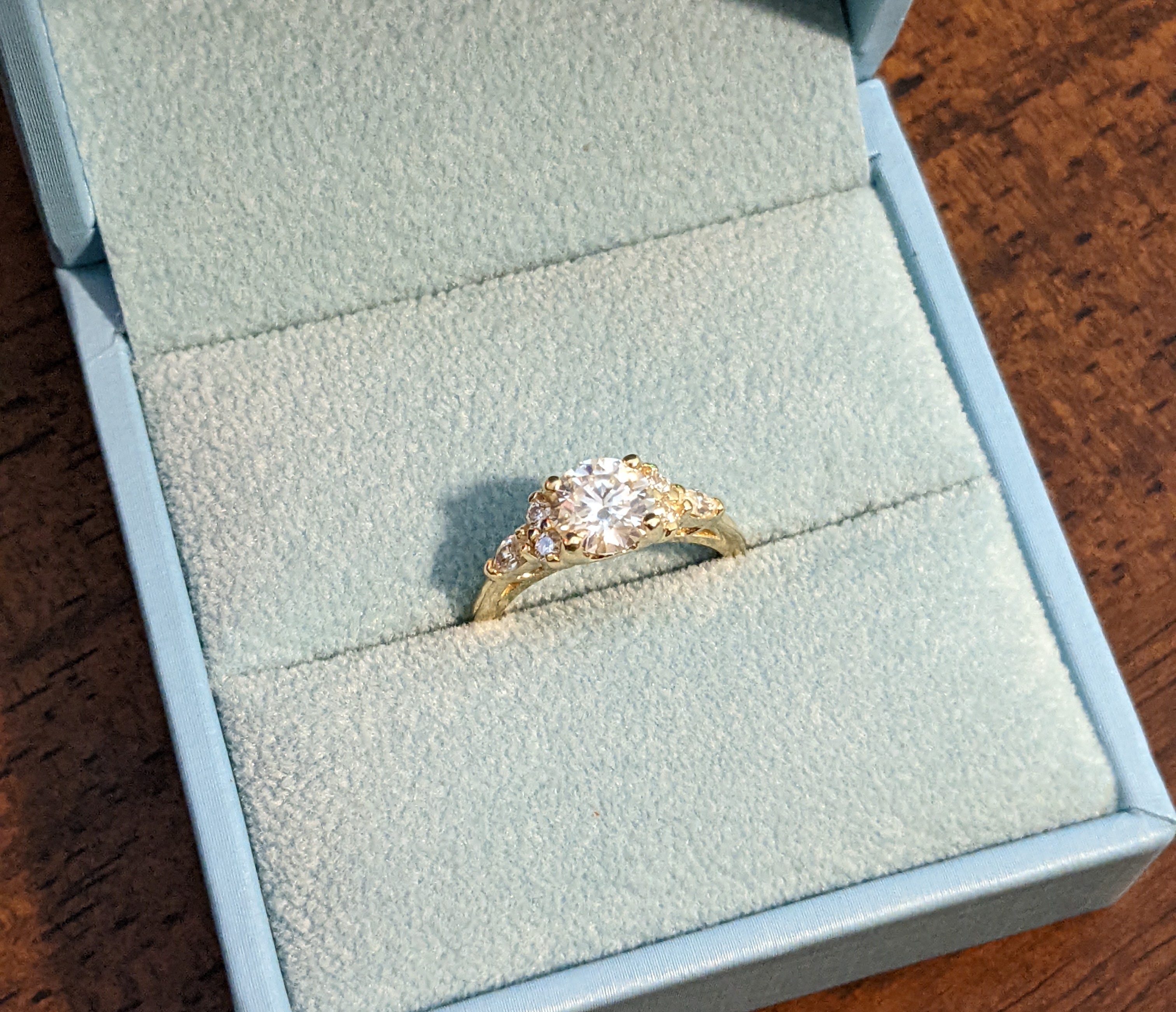 Featured image of post The Ring